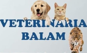 Clínica veterinaria BALAM