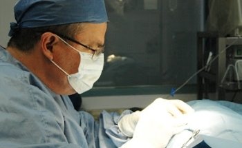 Otay Vet - Veterinary Clinic Tijuana