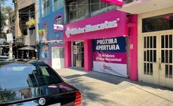 Veterinaria Mister Mascotas Condesa