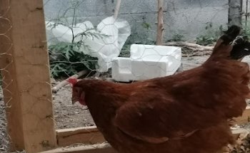 Veterinaria y forrajera López