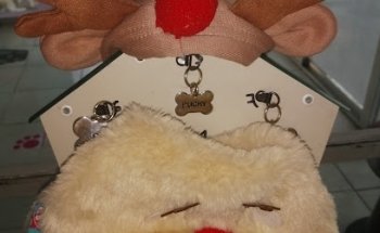 Veterinaria Reberi Pet