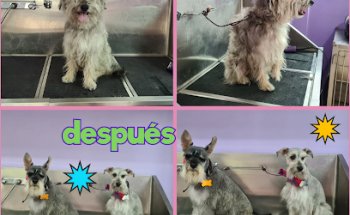 Moradanimal Clínica Veterinaria & Grooming