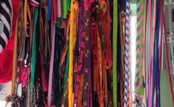 CLÍNICA VETERINARIA CACHORROS