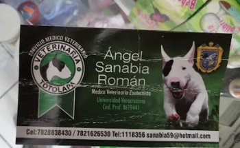 Veterinaria Totolapa