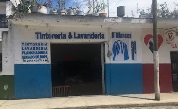 Veterinaria 
