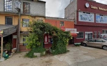 Jose Angel Martinez Cruz / Rosa Guadalupe Martínez Cruz