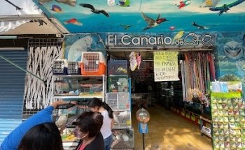 El Canario de Oro Farmacia Veterinaria