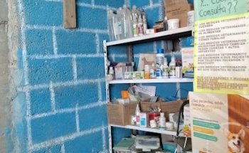 Veterinaria Balam Sucursal San Pablo