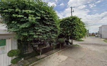 Norbac peluditos Otoch