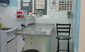 K-NITO Veterinary Clinic