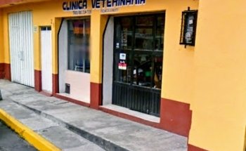 Clínica Veterinaria Treu Zum Tode