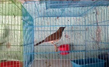 Farmacia Veterinaria Eret