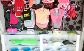 Doc&Dog Clínica Veterinaria