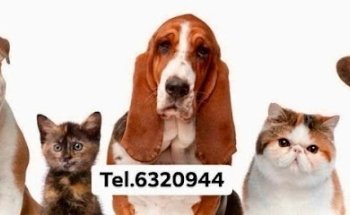 HVC Veterinary Hospital Center