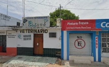 SERVICIO MEDICO VETERINARIO 
