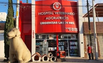 Hospital Veterinario Adoratrices