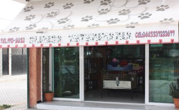 Clinica Veterinaria Mascotland Yard