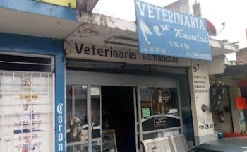 Veterinaria Tamandua