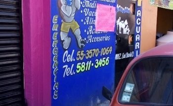 CLINICA VETERINARIA SULLY