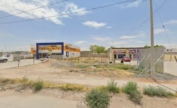 hospital veterinario pacientes infecciosos