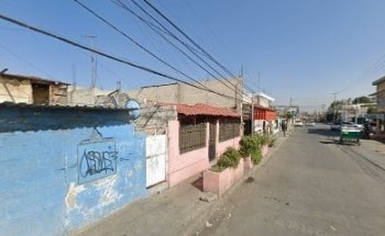 Veterinario Tienda de mascotas