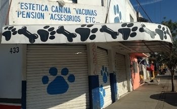 Veterinaria La Luz