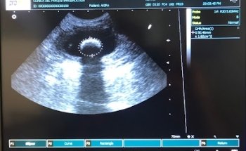 Clínica Veterinaria del Parque