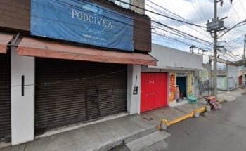 Veterinaria Black Panther