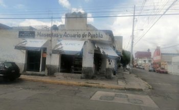 Mascotas y Acuario de Puebla