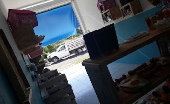 Estética Canina Centinela 2