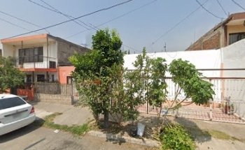 Veterinaria Puppies & Health