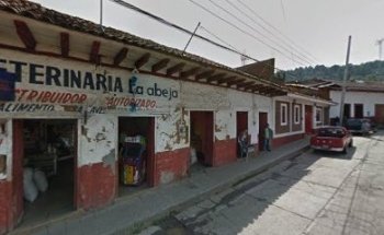 Veterinaria La Abeja