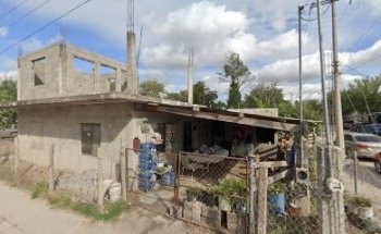 Veterinaria Y Taxidermia Valenzo