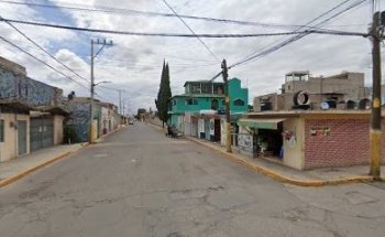 estetica canina la perrona