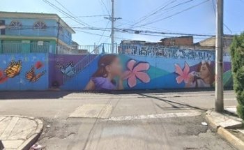 Veterinaria el leon de juda