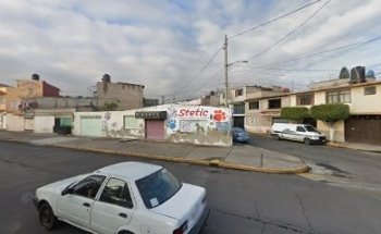 Venta De Mascotas Y Accesorios