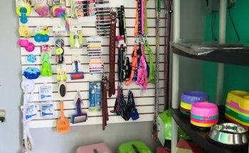 Clínica veterinaria Madrid