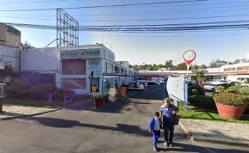 Venta de Gelipet dentro de Veterinaria