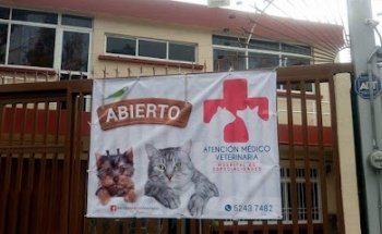 Atención Medico Veterinaria Hospital de Especialidades