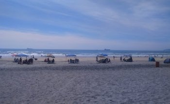 Granery And Veterinary Of Little Rosery