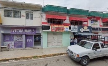 Small Dog Servicio Veterinario