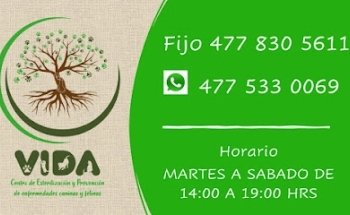 VIDA Centro de esterilización y prevención de enfermedades caninas y felinas