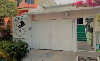 Tivú Servicio Veterinario y Rescate