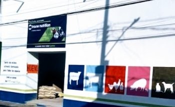 Matriz Trouw Nutrition Insumos Pecuarios SANLUIS