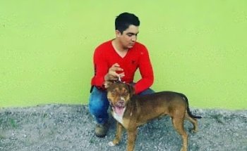 CENTRO VETERINARIO ANPE