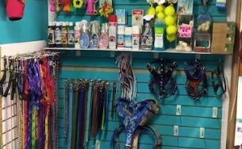 Consultorio Veterinario Jova Pets