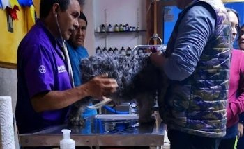 Clínica Veterinaria Nare