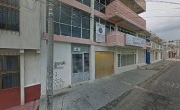 Whippet, Servicio Veterinario & Estética Canina