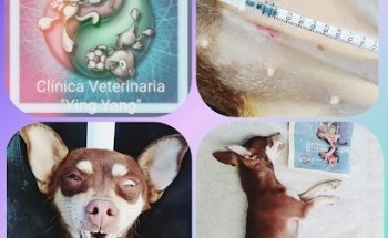 Clínica veterinaria Ying Yang