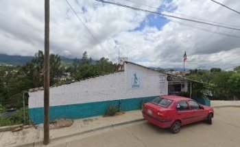 Veterinario Mauricio